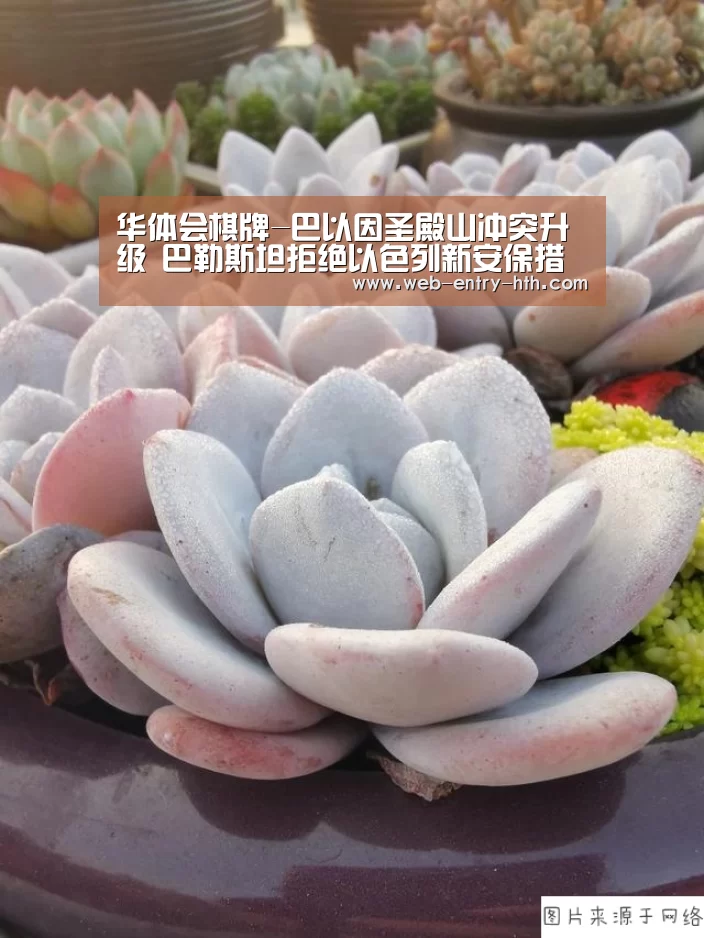 hth中国
