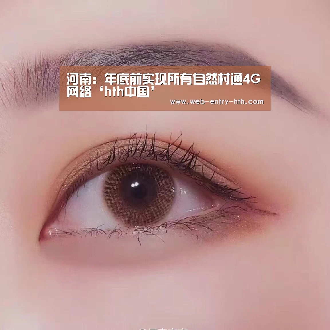 河南:年底前实现所有自然村通4G网络‘hth中国’(图1) 华体会棋牌